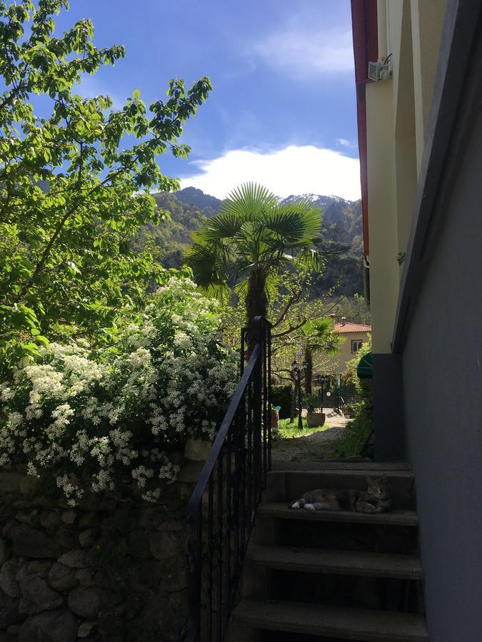 La Mirabelle-Casteil Country House Exterior foto